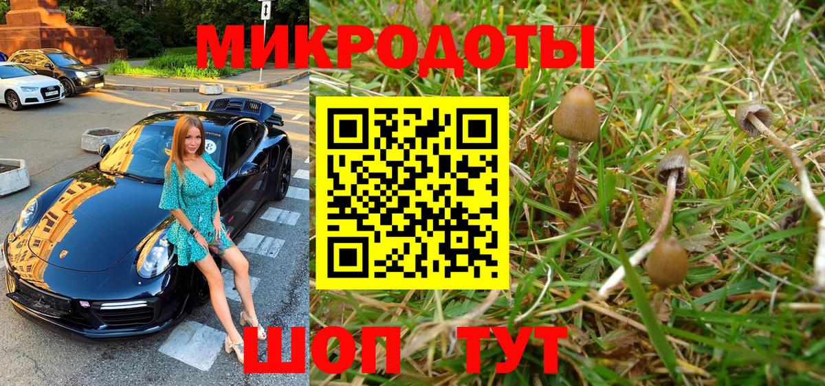 Псилоцибиновые грибы ЛСД  Вход с VPN  Кузнецк 
