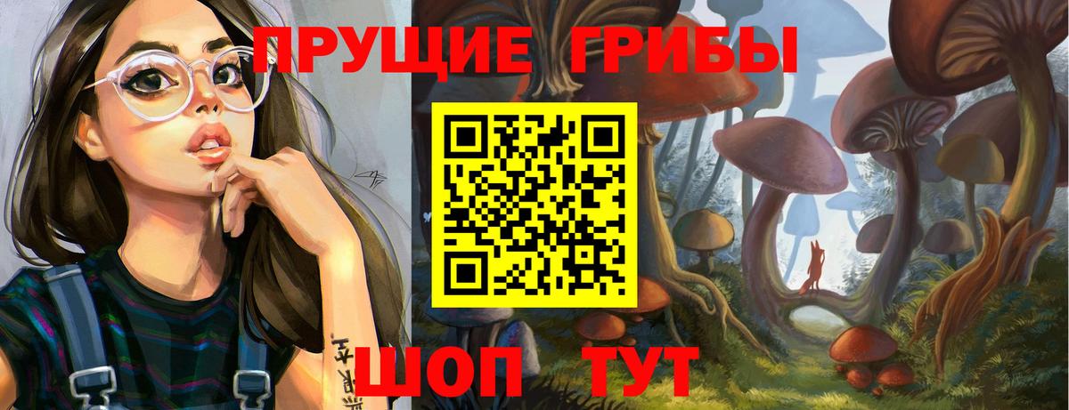 Галлюциногенные грибы Psilocybine cubensis Кузнецк